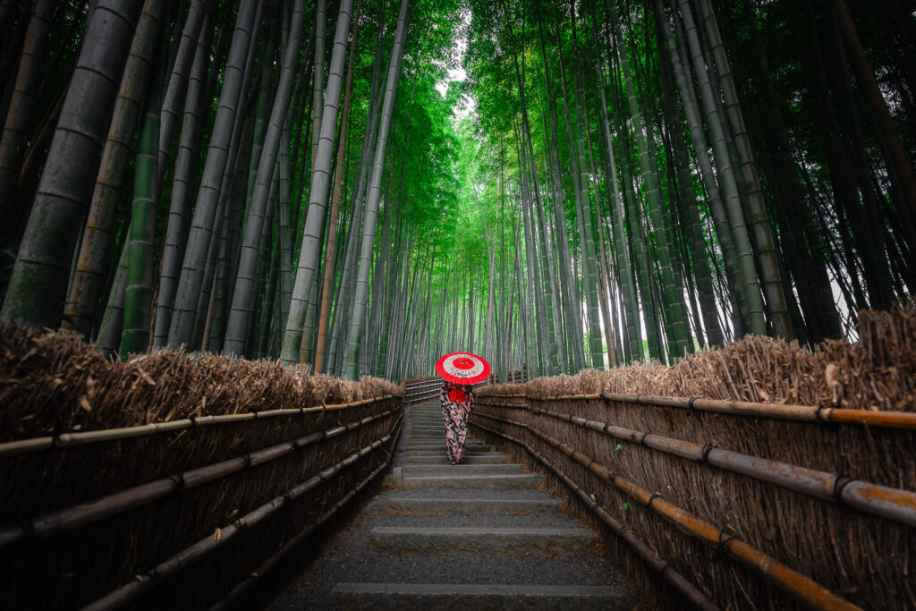 Japan Photo Tour