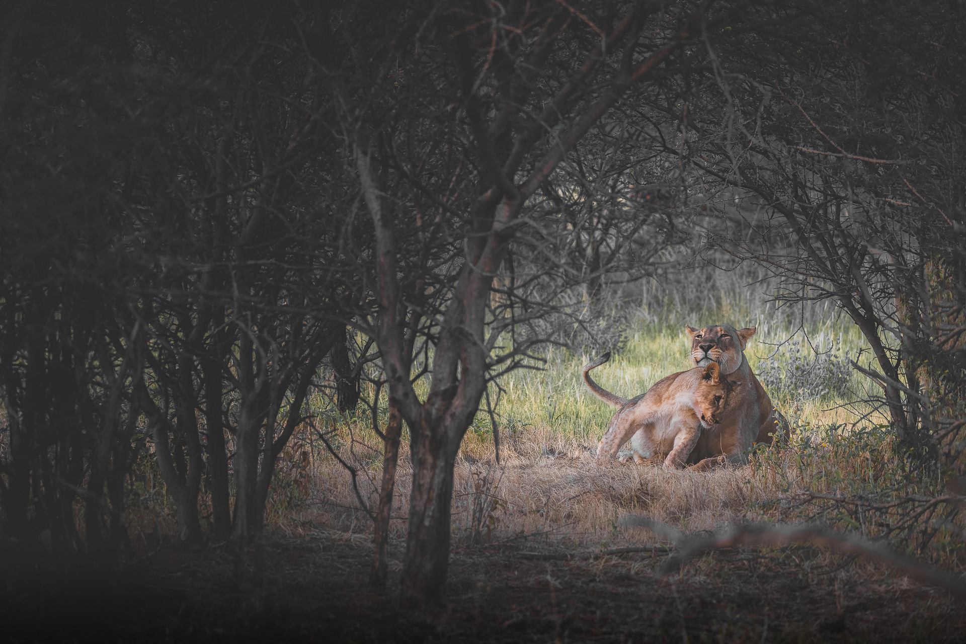 namibia photos travel